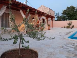 Bazén v ubytovaní Holiday house Barba - Vrana alebo v jeho blízkosti