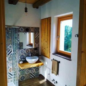 La salle de bains est pourvue d'un lavabo et d'une douche en verre. dans l'établissement Cascina Bucolica, à Alpignano