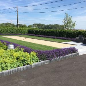 a garden with purple and green plants and purple flowers at Charmehotel Kruishof in Ostend