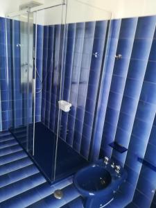 bagno blu con servizi igienici e doccia in vetro di Appartamento LA SPOLA a Ortona