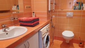 łazienka z umywalką i pralką w obiekcie SPA Apartment Raisova w Karlowych Warach +24 zdjęcia
