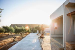 Φωτογραφία από το άλμπουμ του Triopetra Green Dream στην Τριόπετρα