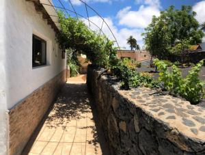 a stone wall next to a building with vines at CASA TAMARA APalmera BDátil in Haría