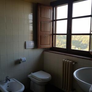 a bathroom with a toilet and a sink and two windows at Agriturismo Colleoli in Palaia +33 photos