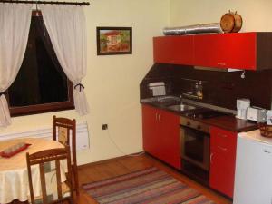Köök või kööginurk majutusasutuses Madara OMAYA Guest House