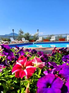 un mucchio di fiori accanto alla piscina di L'Oliveto a Cineto Romano