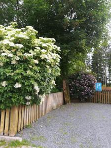 a fence with a flowering bush next to a tree at Ferienwohnung im Harz-Haus-Bruns in Clausthal-Zellerfeld