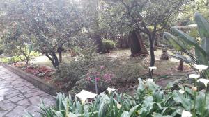 Vonkajšia záhrada v ubytovaní Villa Elena