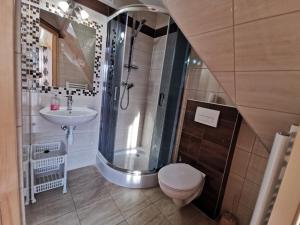 a bathroom with a toilet, sink, and shower at Pokoje Gościnne Kurosik in Zakopane