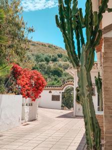 Príroda v okolí of the bed and breakfast