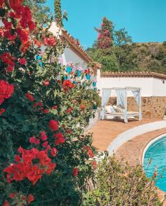 Bazén v ubytovaní Jardines De La Reina Boutique Bed & Breakfast alebo v jeho blízkosti