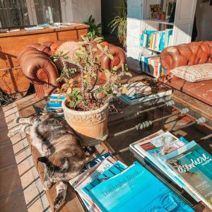Domáce zviera alebo zvieratá hostí v ubytovaní Jardines De La Reina Boutique Bed & Breakfast