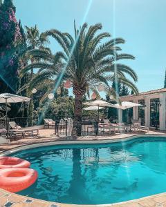 a swimming pool with palm trees and palm trees at Jardines De La Reina Boutique Bed & Breakfast in Marbella