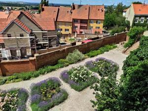 a garden with purple and white flowers and houses at Apartmán Jan in Břeclav +6 photos