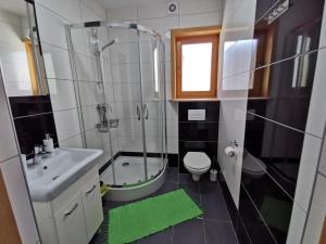 a bathroom with a shower and a toilet and a sink at Podhalańska Chatka in Zakopane