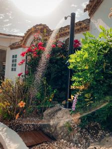 a water fountain in front of a house with flowers at Jardines De La Reina Boutique Bed & Breakfast in Marbella