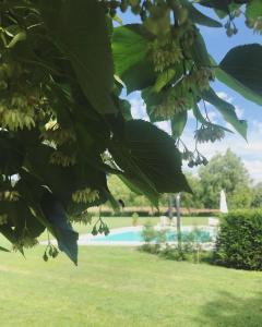 Galeriebild der Unterkunft La Scuderia Charming Rooms b&b in San Paolo Solbrito