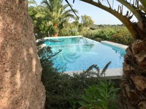Bazén v ubytování villa Orchidee Sardegna nebo v jeho okolí