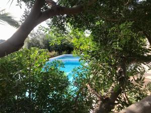 Bazén v ubytování villa Orchidee Sardegna nebo v jeho okolí