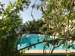 Bazén v ubytování villa Orchidee Sardegna nebo v jeho okolí