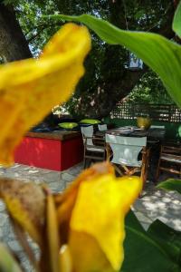 Gallery image of Studios Filio Sonia in Vourvourou