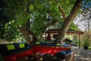 Gallery image of Studios Filio Sonia in Vourvourou +55 photos