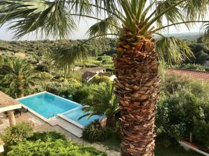 Bazén v ubytování villa Orchidee Sardegna nebo v jeho okolí