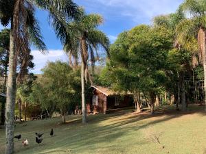 Pousada Aguaraguazu في تيباجي: مجموعة من الدجاج تمشي أمام الكوخ