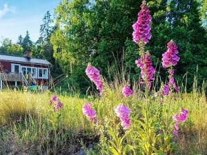um campo de flores cor-de-rosa em frente a uma casa em 2 person holiday home in FR NDEFORS em Frändefors