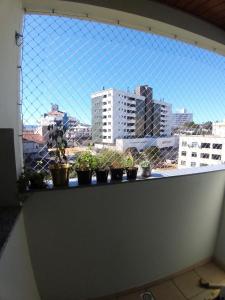 un grupo de plantas en macetas en el alféizar de una ventana en Apto Aconchegante - 4 pessoas - próximo centro de Florianópolis, en Florianópolis