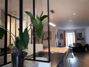 a vase with a plant on a counter in a living room at galerie Angle3 in Quimper