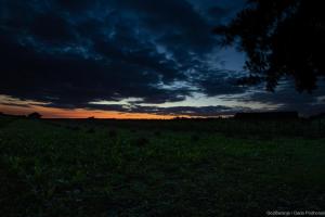 um pôr-do-sol num campo com um céu escuro em Pannonia Terranova em Vardarac