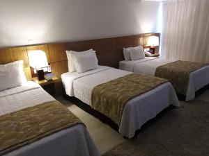 Fotografija u galeriji objekta Hotel Le Pelican u gradu Asunsion