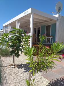 a house with a porch with plants in front of it at Mobile Homes Albatross in Jezera