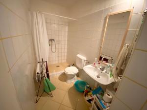een badkamer met een wastafel, een toilet en een spiegel bij Kolokán vendégház in Sarud