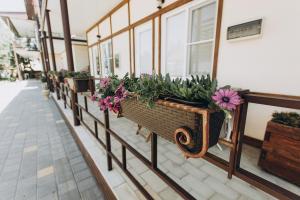 エイスクにあるSovenok Apart-Hotelの花の並ぶ鉢