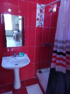 La salle de bains est pourvue de carrelage rouge, d'un lavabo et d'un miroir. dans l'établissement AZAT НОМЕ, à Tbilissi