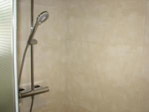 eine Dusche mit Duschkopf im Bad in der Unterkunft Ferienzimmer Zentrum in Bad Schandau