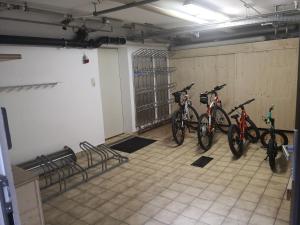Jazda na bicykli v okolí ubytovania Pension Gabl