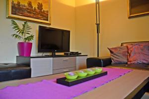 a living room with a couch and a tv at Apartments Vila Vrdnik in Vrdnik