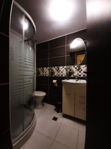 a bathroom with a toilet and a sink and a shower at Casa Flamingo in Craiova +17 photos