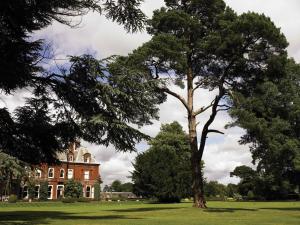 Zahrada ubytování Champneys Tring
