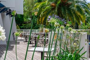 Сад в Hotel Le Quetzal