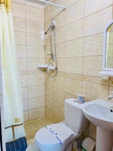 a bathroom with a shower and a toilet and a sink at Mirage Hotel in Zatoka +34 photos