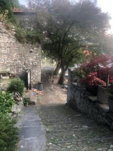 Zahrada ubytování Casa Rosa