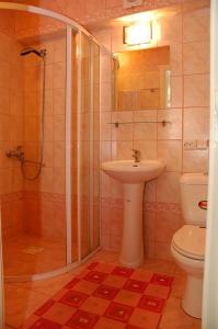 a bathroom with a shower and a sink and a toilet at EAKlimų kaimo turizmo sodyba Iešnalė in Babrungėnai