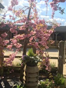 A garden outside Bybrook Barn Bed & Breakfast 