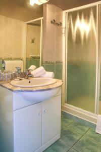 La salle de bains est pourvue d'un lavabo et d'une douche. dans l'établissement L'Oustal Del Barry, à Najac
