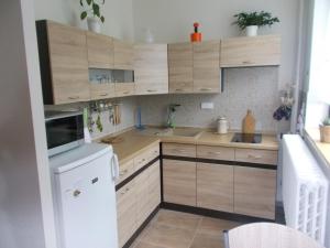 uma cozinha com armários de madeira e uma máquina de lavar louça branca em Ubytování Pod rozhlednou em Sloup