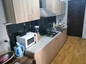 Kuchyň nebo kuchyňský kout v ubytování Guest House Monshishi